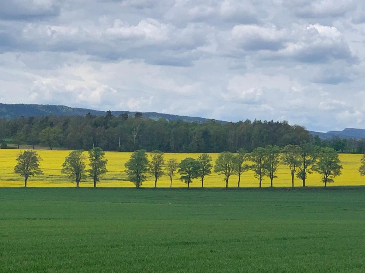 Dom Na Wzgorzu Villa Polanica-Zdrój Kültér fotó
