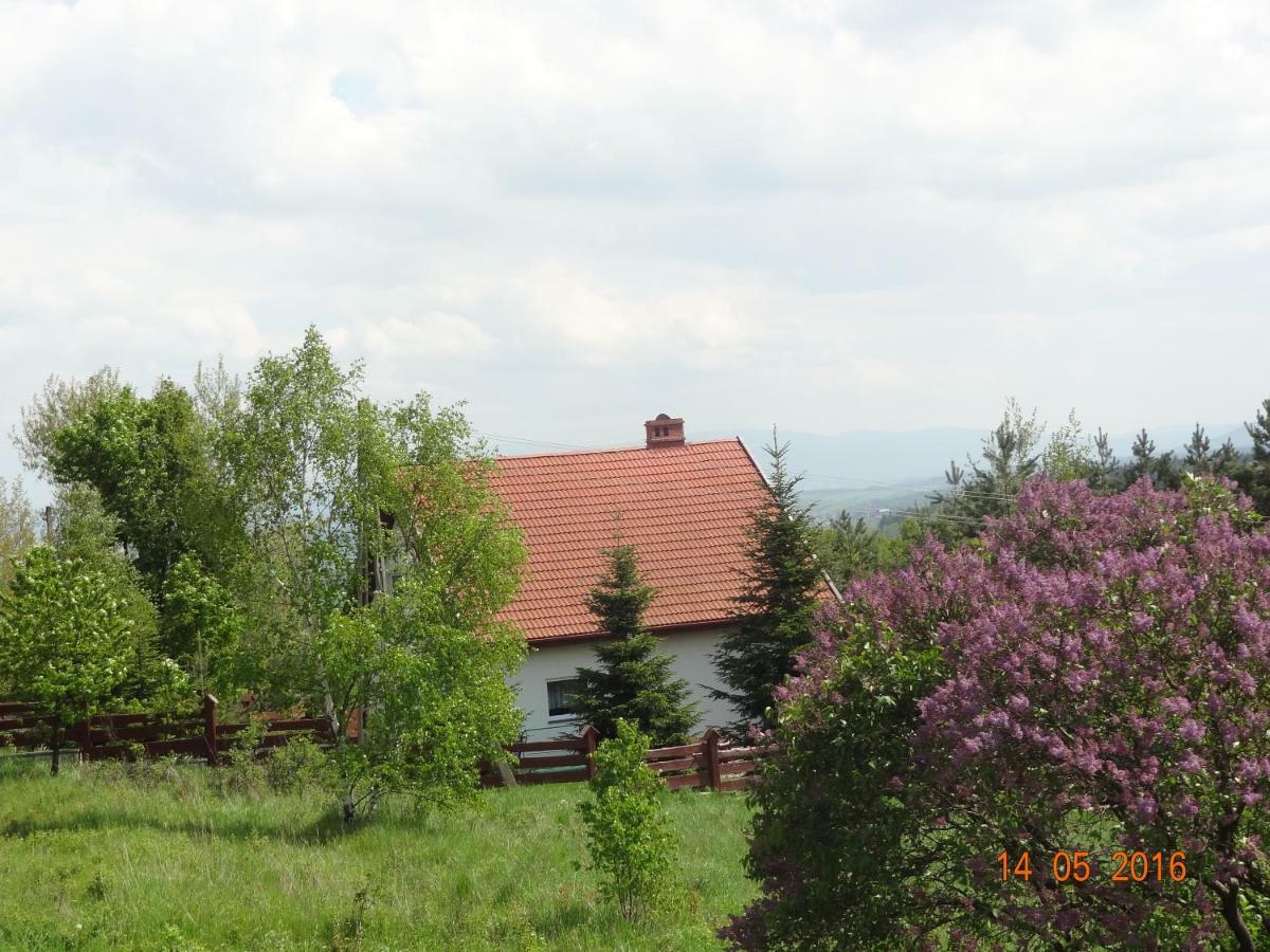 Dom Na Wzgorzu Villa Polanica-Zdrój Kültér fotó