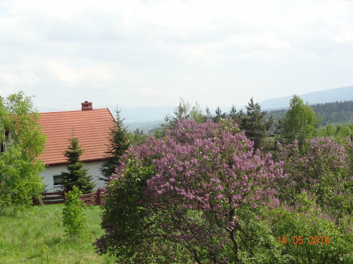 Dom Na Wzgorzu Villa Polanica-Zdrój Kültér fotó